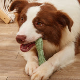 Kauspielzeug zur Zahnreinigung für Hunde