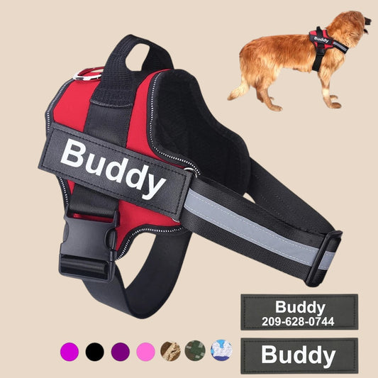 Personalized Dog Harness