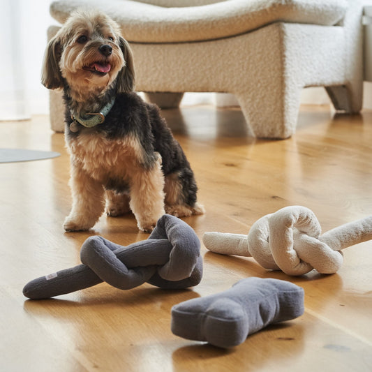 BenOppie Bone Toy