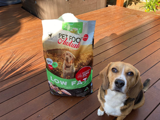 Turkey & Lamb - Low Fat Dog Food