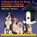 2-in-1 Ultrasonic Dog Barking Training Tool