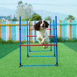 Dog Agility Training Set