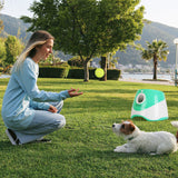 Automatic Dog Ball Launcher