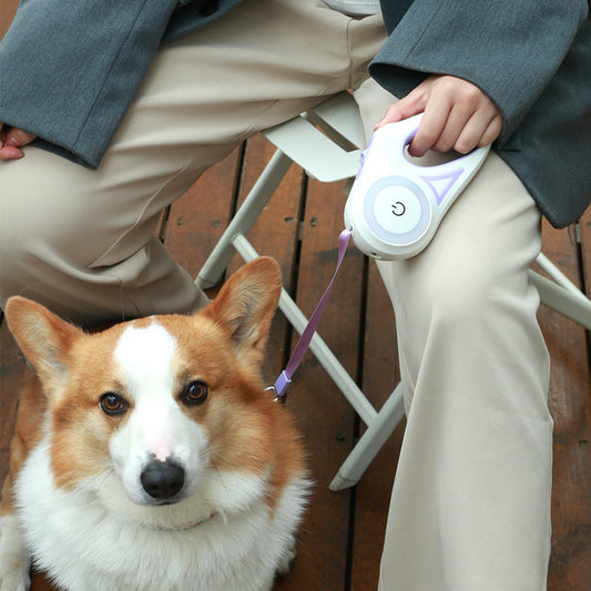 Retractable Leash and Dog Collar