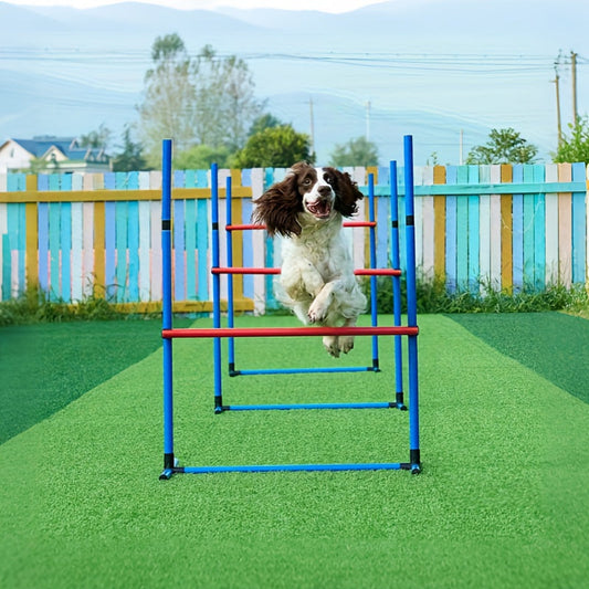 Dog Agility Training Set
