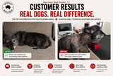Insect Protein & Hemp Seed Oil Dry Dog Food
