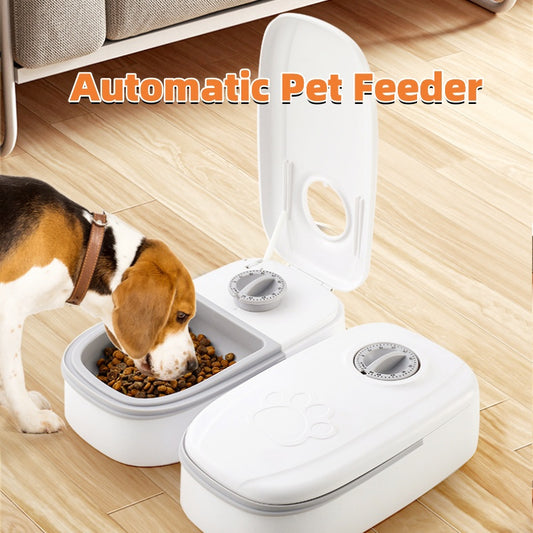 Automatic Feeder for Dogs