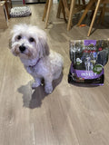 Insect Protein & Hemp Seed Oil Dry Dog Food