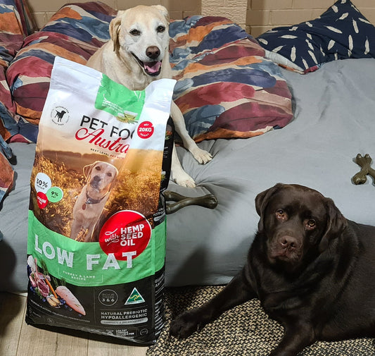 Turkey & Lamb - Low Fat Dog Food