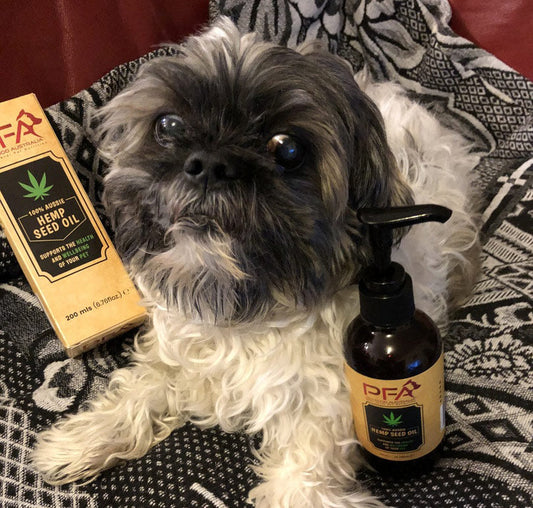 Hemp Seed Oil 200mL