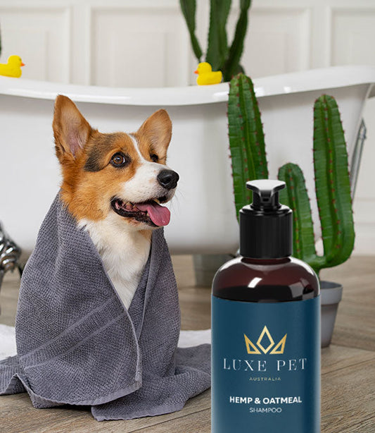 Luxe Pet Australia - Hemp & Oatmeal Shampoo 500ml